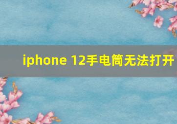 iphone 12手电筒无法打开